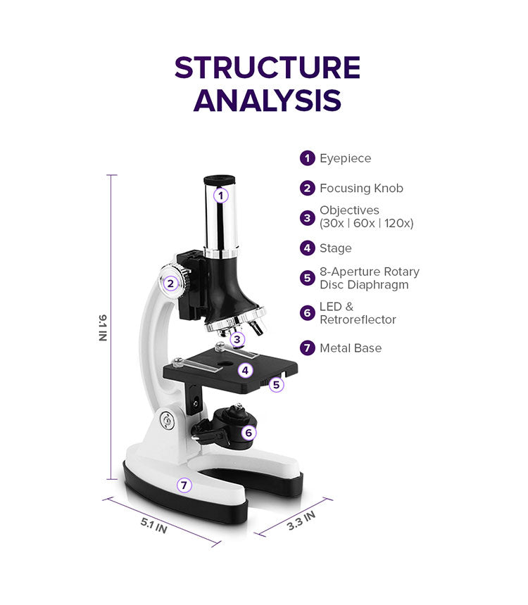Beginner Microscope Kit