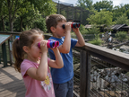 Premium Binoculars for Kids