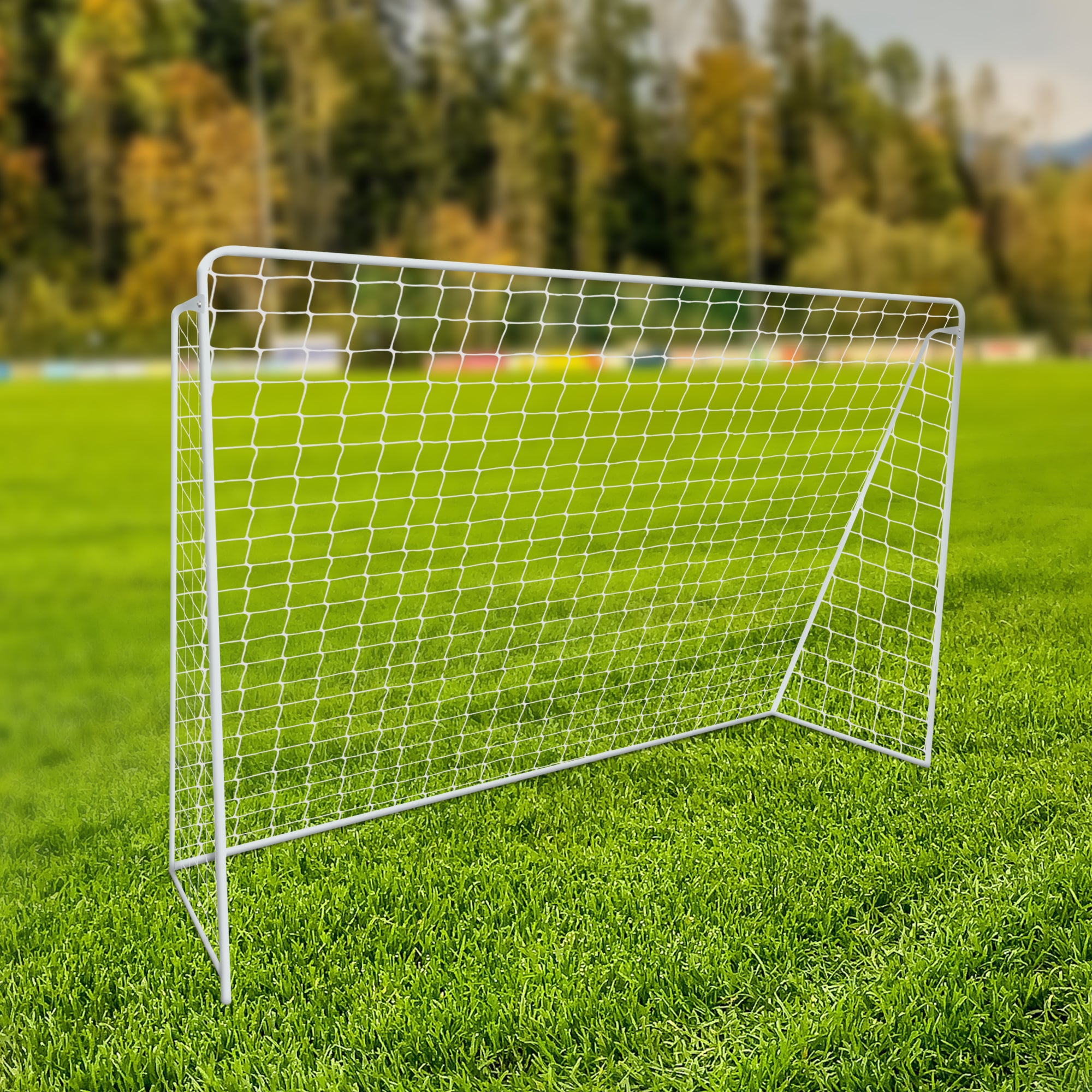Soccer Goal