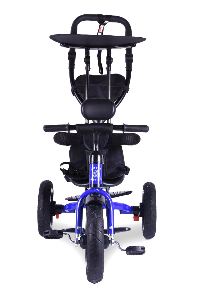 Push Trike Deluxe - Blue