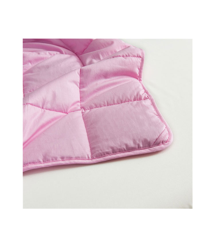 BlueSnail Premium Soft Velet Plush Weighted Blanket for Kids Rose, 5 lb 