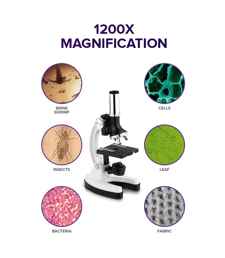 Fenteer Magnification 20X Dissecting Microscope Science Kit for Student and Kids 